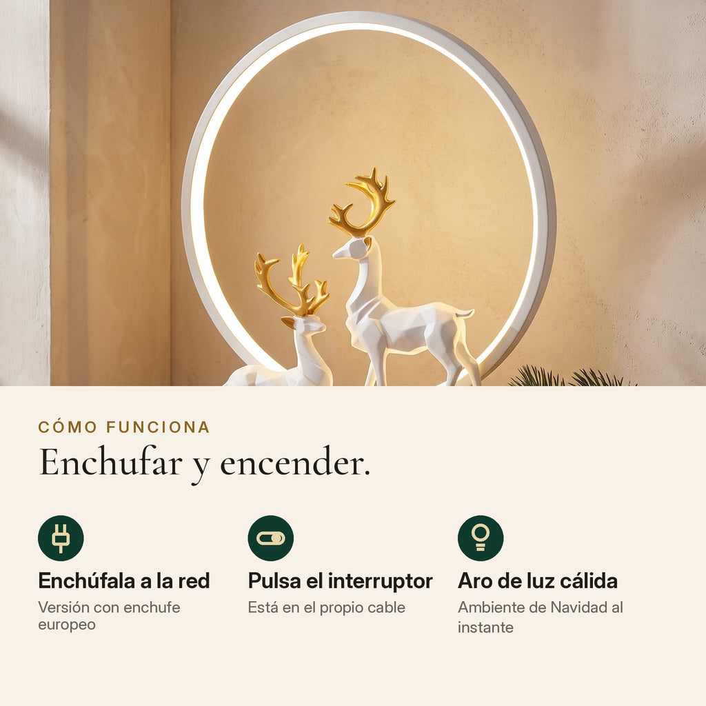 Cómo funciona Noel: enchufe europeo e interruptor en el cable